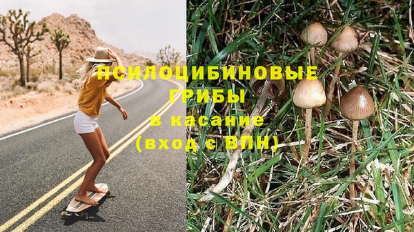 MESCALINE Богданович